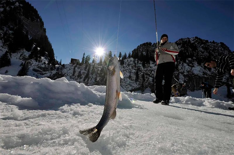 Ice fishing game online, ice fishing casino